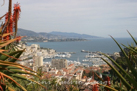 Veduta di Monte Carlo dal Jardin Exotique
