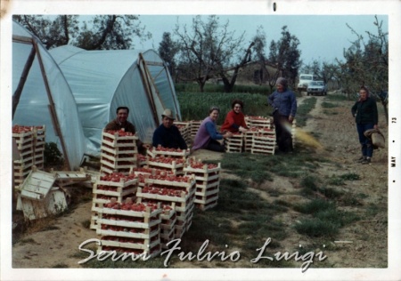 Famigli Serni con operaie per la raccolta delle fragole